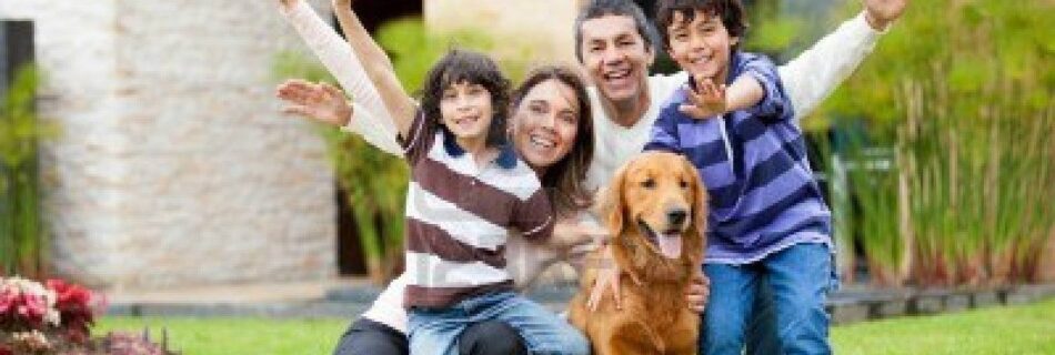 Como Investir No Tesouro Direto Nacional E Obter Dinheiro 26